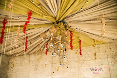 amneef_04
