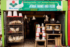 jenda_farm_01